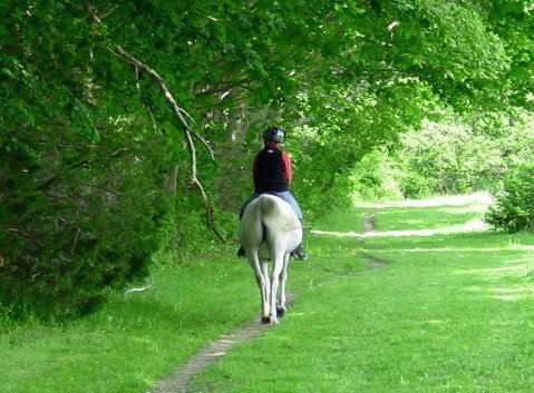 rutas a caballo asturias,rutas a caballo en asturias picos de europa.hipico,hipica